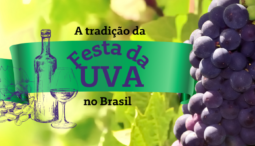 Festa da Uva pelo Brasil  