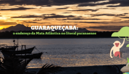 Conheça Guaraqueçaba em 2023